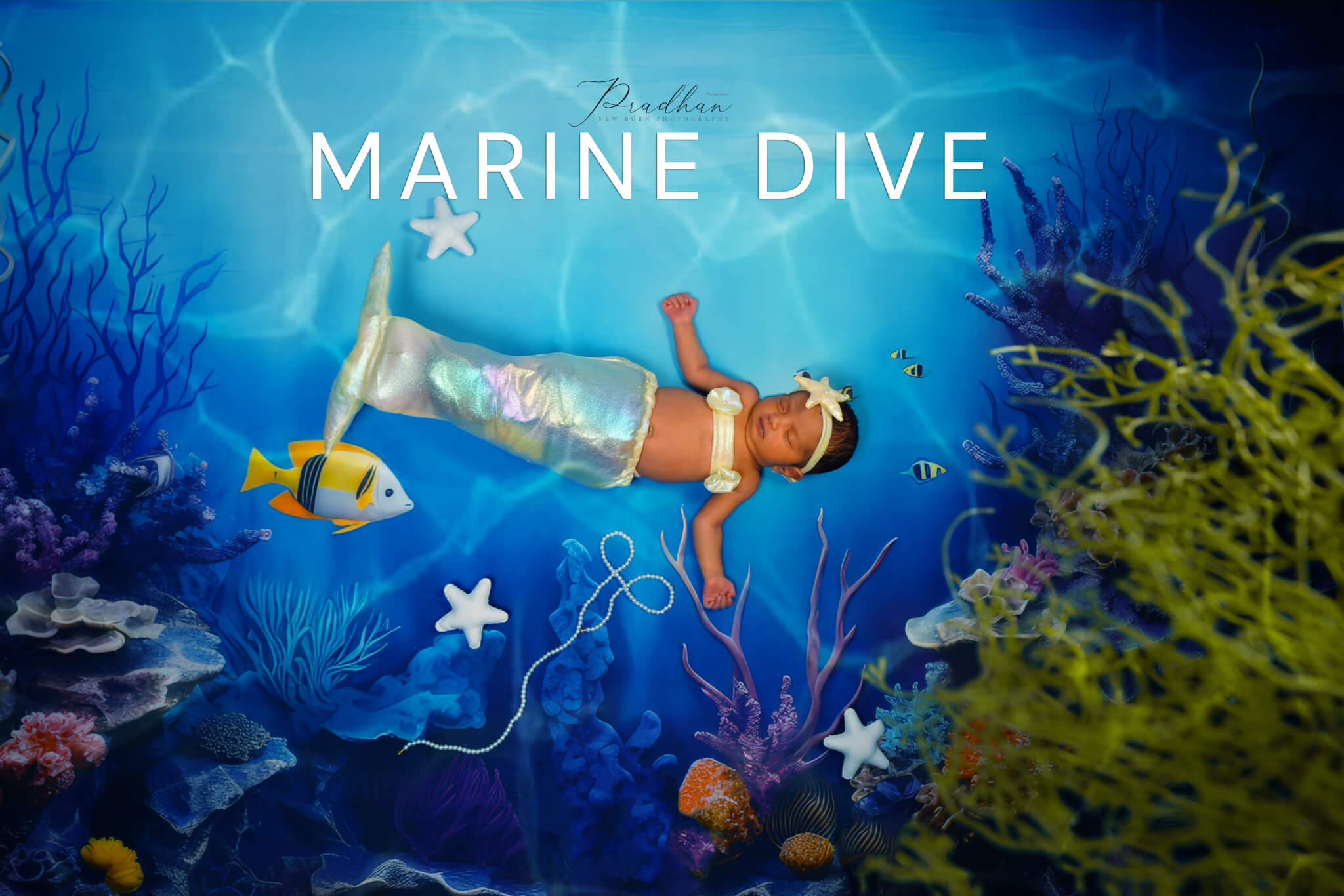 marine dive